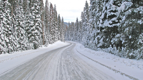surviving the winter
