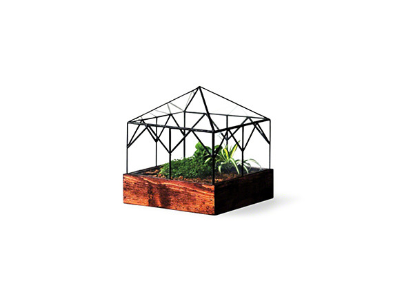 terrarium for desk